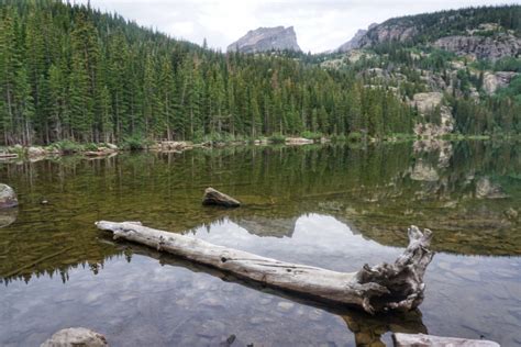 Starting Your Hike At Bear Lake Trailhead in Rocky Mountain National Park