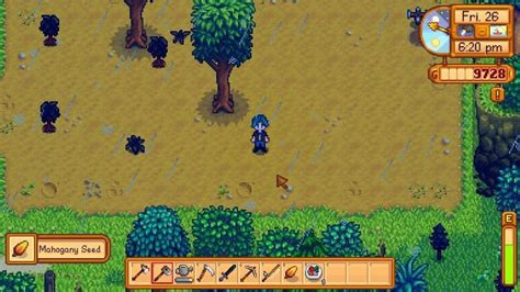 How to grow Mahogany Trees in Stardew Valley