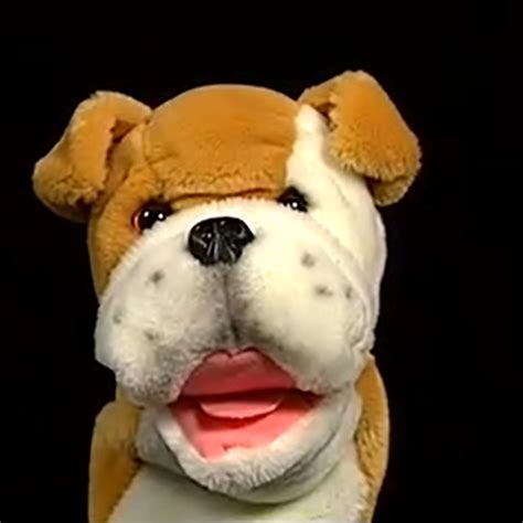 Bulldog Puppet | The True Baby Einstein Wiki | Fandom