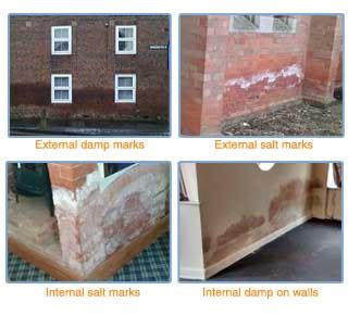 Damp on walls | Causes and treatments | Peter Cox