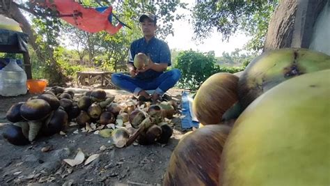 Berkah Kemarau, Pedagang Buah dan Minuman Siwalan Laris Diserbu Pembeli - Radar Gresik