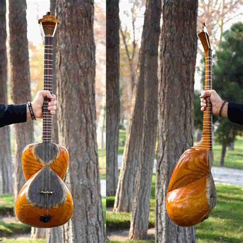 Persian Taar String Instrument Iransaz Model Sepehr - ShopiPersia