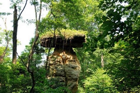 Jug Rock, Shoals, Indiana | Indiana travel, Day trips, Indiana