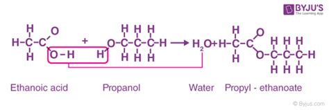 Esterification (Alcohol & Carboxylic acid) - Reactions Mechanism & Uses ...