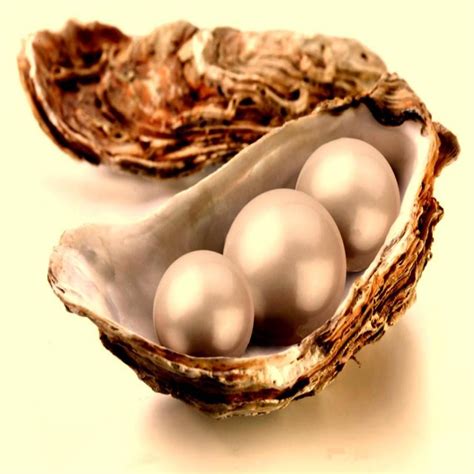 BEAUTIFUL PEARLS IN OYSTER SHELL | Pearl wallpaper, Oyster pearl, Oyster shell