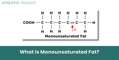 Monounsaturated Fat: Definition, Function, Sources, Benefits, and Risks ...