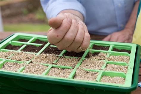 What Is Vermiculite? How To Use Vermiculite For Healthier Plants - BBC ...