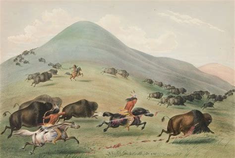 Great Plains Indians Animals