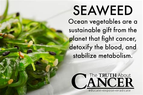 benefits of dried seaweed