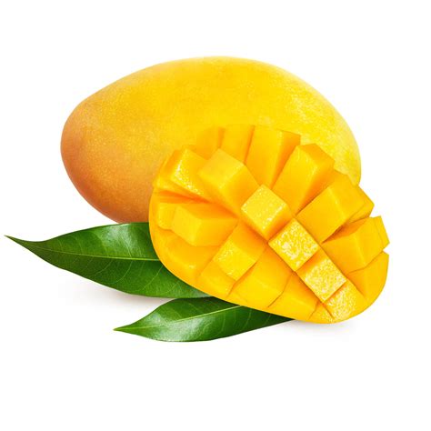 Fresh Thai Yellow Mango - Imported Weekly from Thailand – Thai Food ...