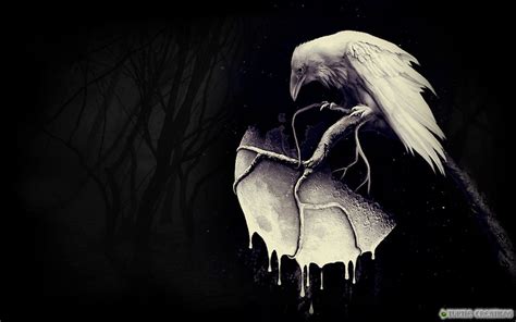 🔥 [50+] Dark Raven Wallpapers | WallpaperSafari