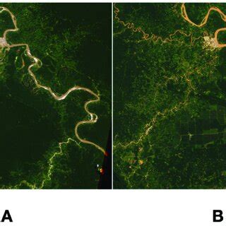 Two actual examples of the deforestation rate of the Amazonian rain... | Download Scientific Diagram