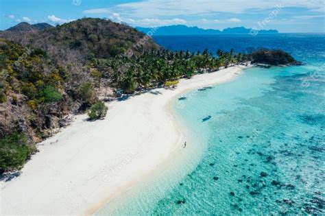 Premium Photo | Malcapuya island in the philippines, coron province ...