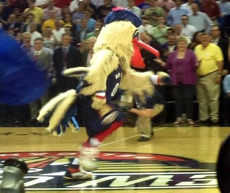 New Orleans Pelicans Unleash Garish Mascot – SportsLogos.Net News