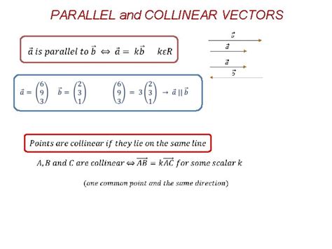 Collinear Vectors Examples