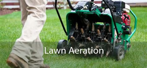 Lawn Aeration - Spring Lawn Aeration