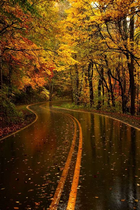 Autumn Roadway Wallpapers - Wallpaper Cave