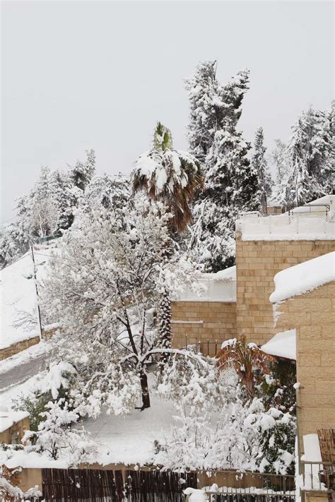 Lots Of Snow In Northern Israel At Last! - creative jewish mom