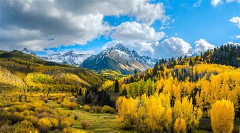 2560x14402020 Yellow Forest Landscape 4k Mountains 2560x14402020 ...