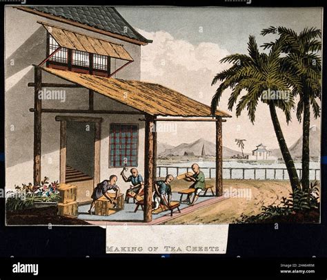 A tea plantation in China: workers make tea chests. Coloured aquatint ...