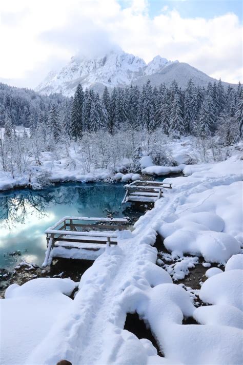 Photos: Zelenci Nature Reserve Covered In Snow In Winter - Travel Slovenia