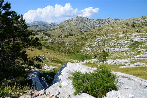Biokovo Nature Park (2) | Makarska | Pictures | Croatia in Global-Geography