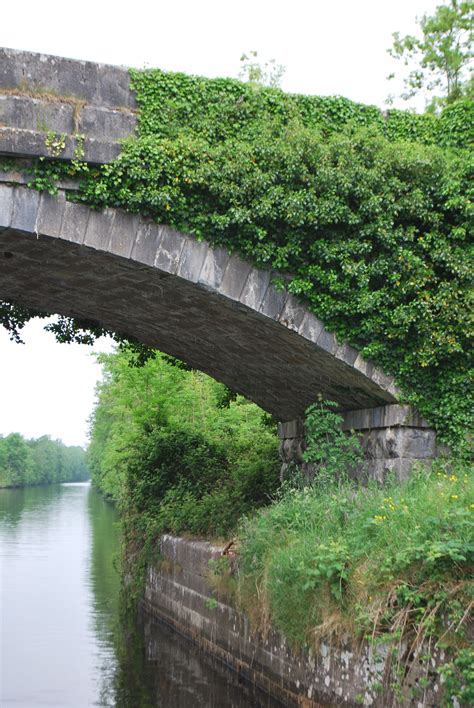 Bridge over River Shannon | Ireland travel, River, My travel