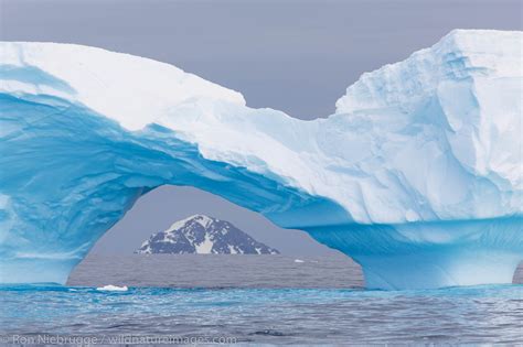 Cierva Cove Iceberg | Antarctica | Photos by Ron Niebrugge