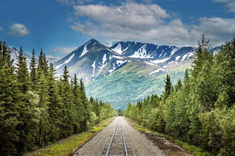 Denali National Park: Best things to see and do