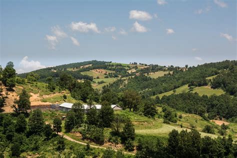 Rhodope Mountains | Eastern Macedonia - Thrace