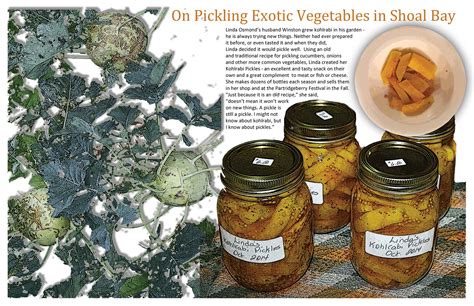 On Pickling Exotic Vegetables in Shoal Bay › Towards an Encyclopedia of Local Knowledge