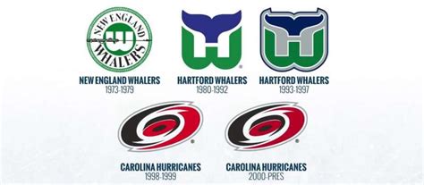 The Carolina Hurricanes Logo History, Colors, Font, And Meaning