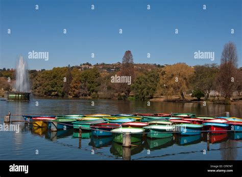 Group of boats tied up on Zoo lake, Johannesburg Stock Photo - Alamy