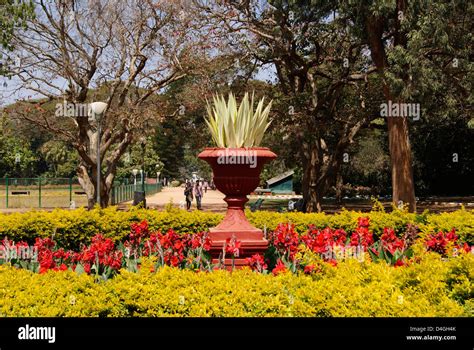 Lalbagh Botanical Garden in Bangalore City ( Bengaluru ) , India Stock ...