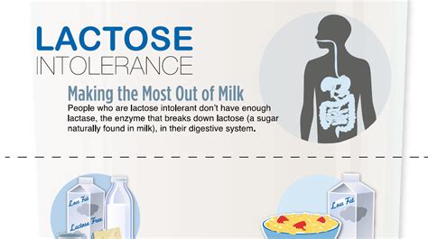 Why Most People Are Lactose Intolerant - Health by Nature