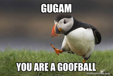 gugam you are a goofball - Unpopular Opinion Puffin | Make a Meme