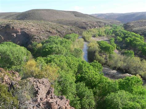 The Gila River: The Southwest’s Threatened Eden | Defenders of Wildlife