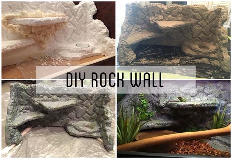 Stunning DIY Rock Wall for Your Lizard Tank