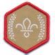 Chief Scout's Gold Award - The Scout and Guide Shop