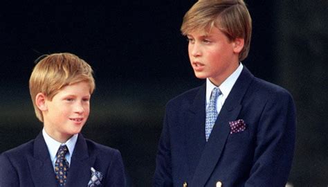 Young Prince Harry mocked William over his future as 'King': Diana ...