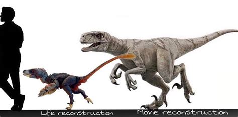 Atrociraptor size comparison | Jurassic Park | Know Your Meme