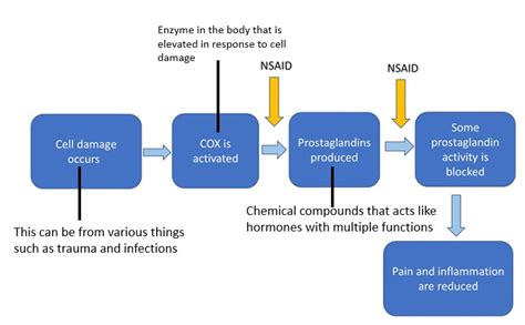 5 Things You Should Know About NSAIDs Before Your Next Dose