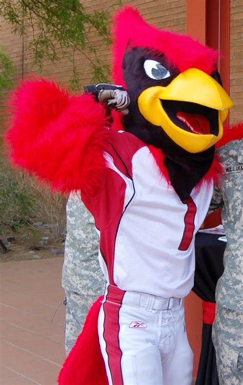 Big Red (Cardinals mascot) | National football league, Football league, National football