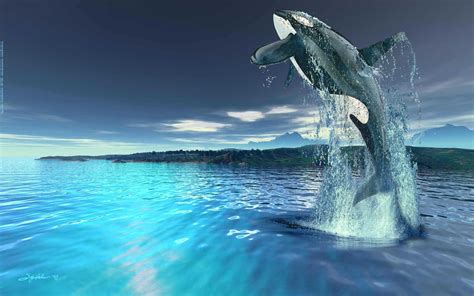 30 Beautiful Killer Whale Pictures and HD Wallpapers