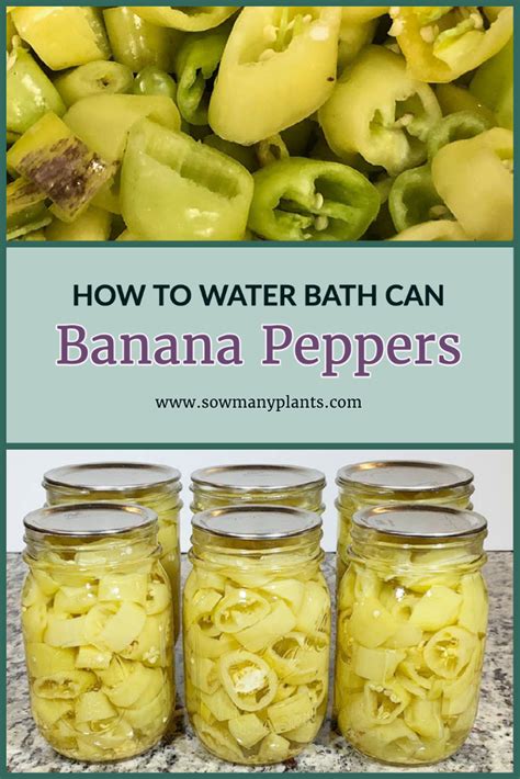 Water Bath Canning Banana Peppers - Sow Many Plants | Recipe | Stuffed ...