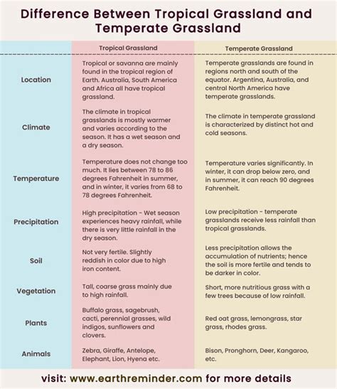 Difference Between Tropical Grassland and Temperate Grassland