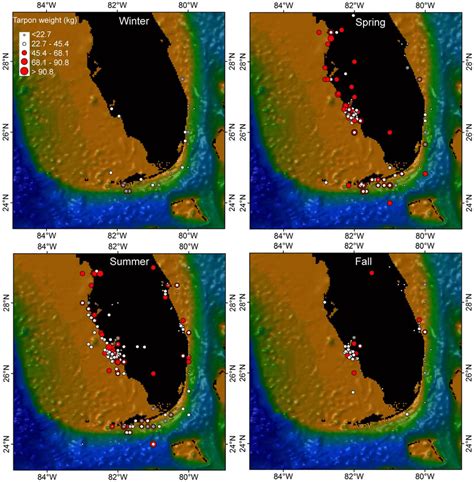 Release locations of conventionally tagged Atlantic tarpon in South... | Download Scientific Diagram