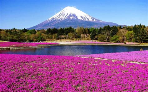 5 Gunung Terindah di Jepang, Gagah Dan Menawan - LPK NARA Home School