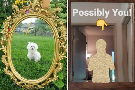 40 Times People Tried To Sell Mirrors And The Photos They Took Showed ...