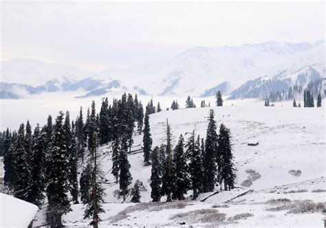 Gulmarg 'sold out' as tourists throng to Kashmir for Christmas, New Year